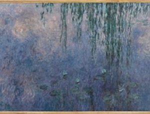 Water Lilies